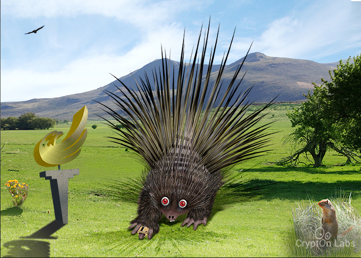 Libertarian Porcupine
